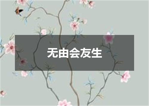 无由会友生