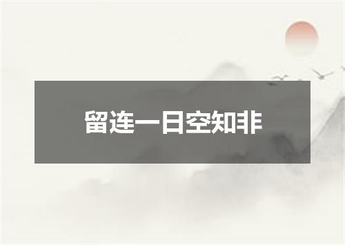 留连一日空知非