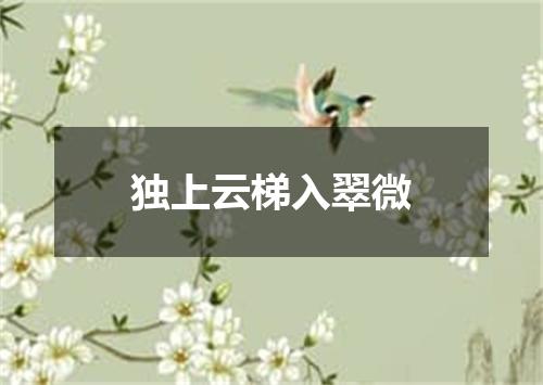 独上云梯入翠微