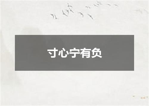 寸心宁有负