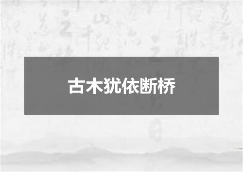 古木犹依断桥