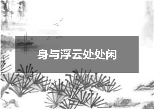 身与浮云处处闲