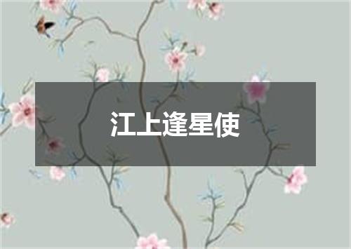 江上逢星使