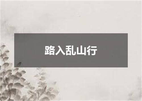 路入乱山行