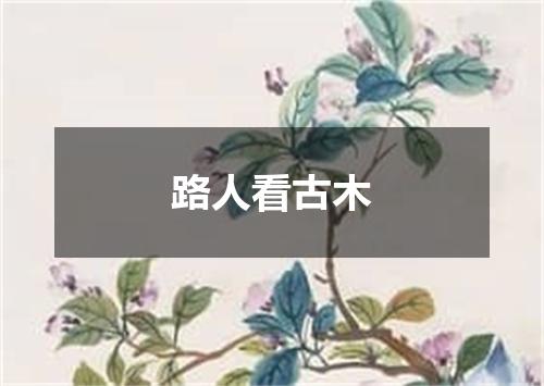 路人看古木