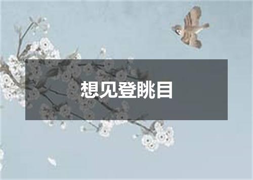想见登眺目