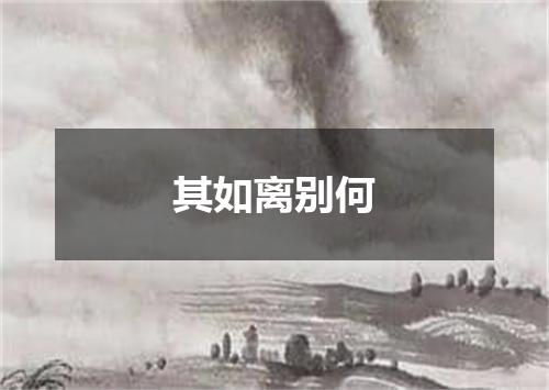 其如离别何