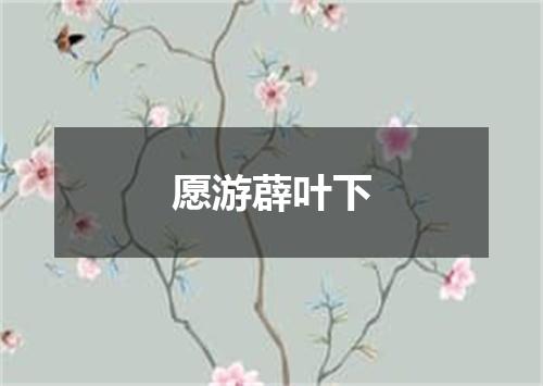 愿游薜叶下