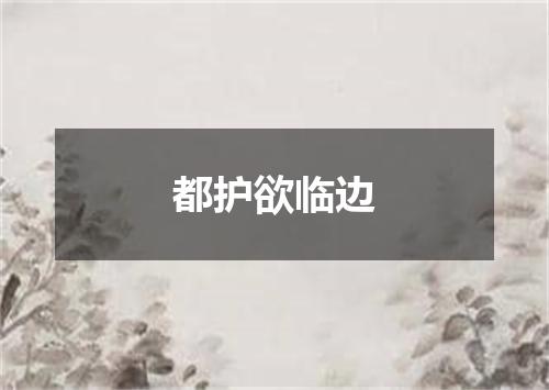 都护欲临边