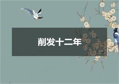 削发十二年