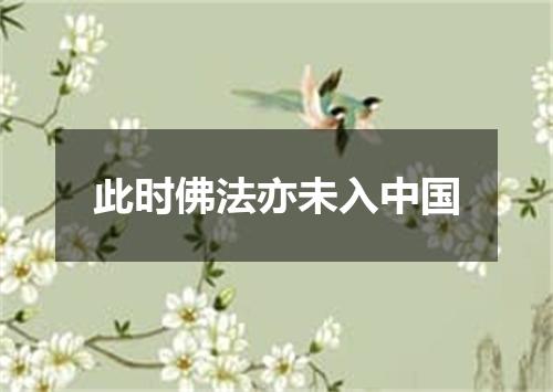 此时佛法亦未入中国