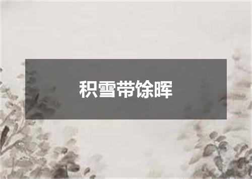 积雪带馀晖