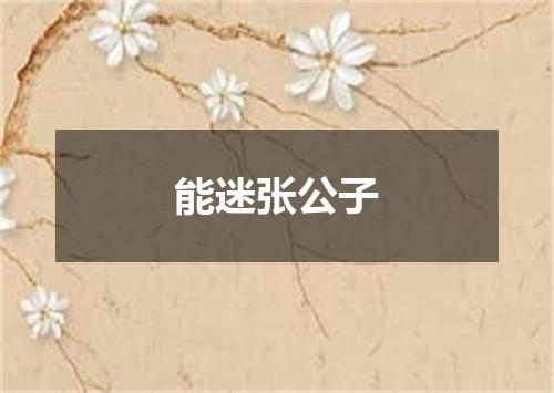能迷张公子