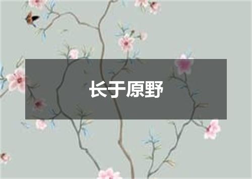 长于原野