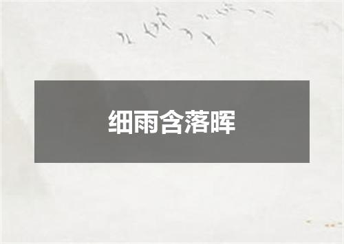 细雨含落晖
