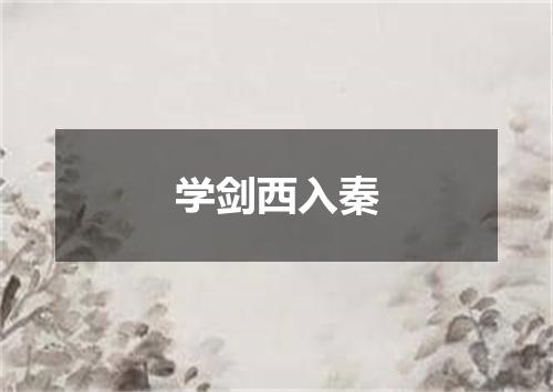 学剑西入秦