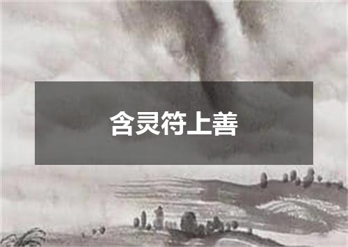 含灵符上善