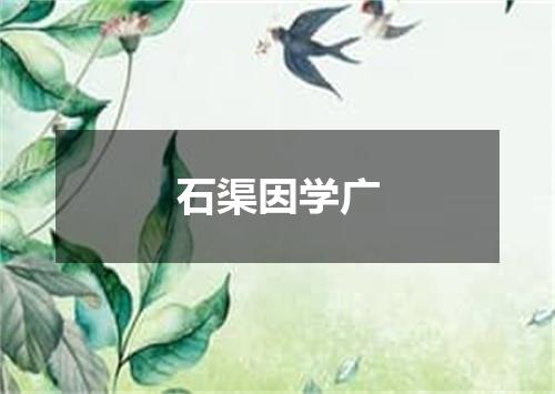 石渠因学广