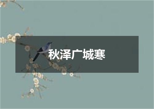 秋泽广城寒