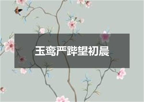 玉鸾严跸望初晨