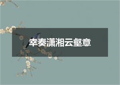 幸奏潇湘云壑意