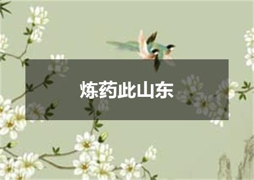 炼药此山东