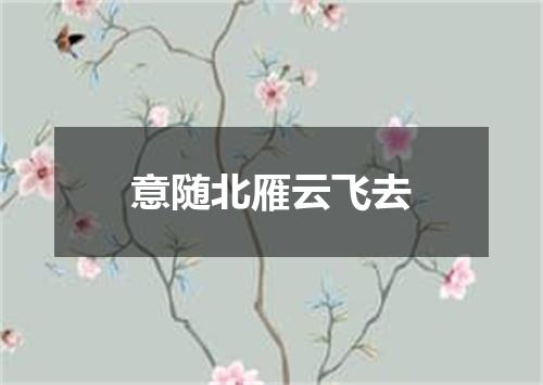 意随北雁云飞去