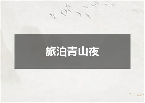 旅泊青山夜