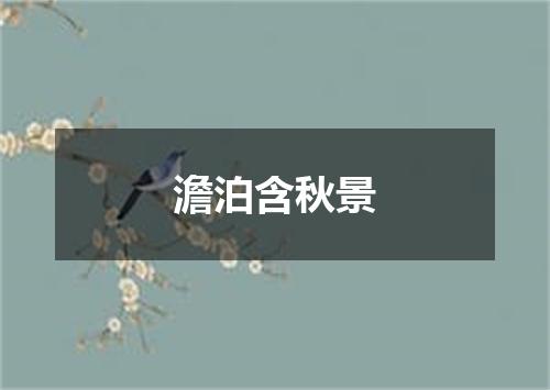 澹泊含秋景