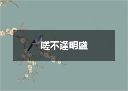 嗟不逢明盛