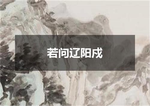若问辽阳戍
