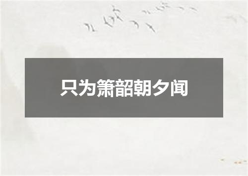 只为箫韶朝夕闻