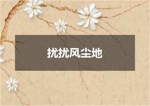 扰扰风尘地