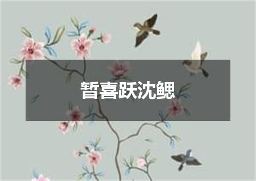暂喜跃沈鳃