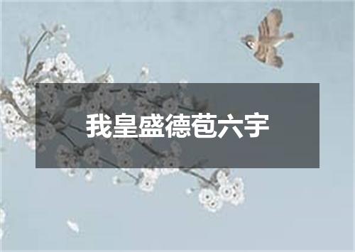 我皇盛德苞六宇