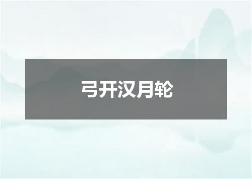 弓开汉月轮