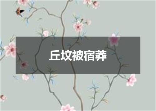 丘坟被宿莽