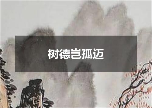 树德岂孤迈