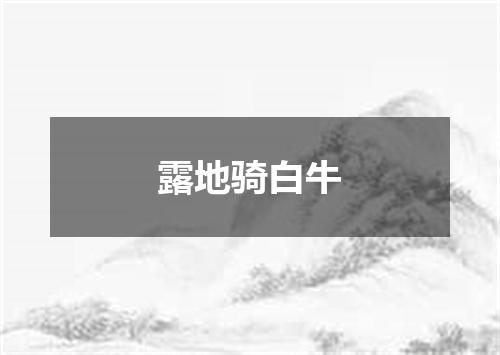 露地骑白牛