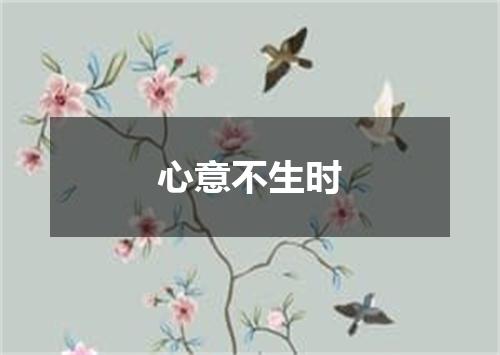 心意不生时