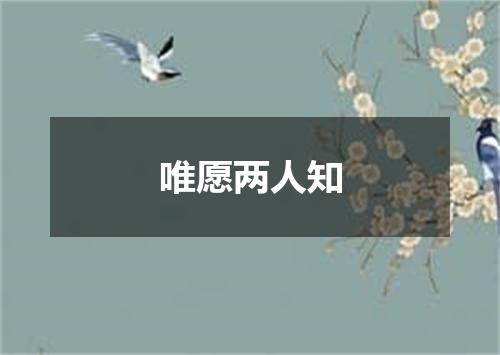 唯愿两人知