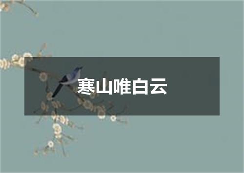 寒山唯白云