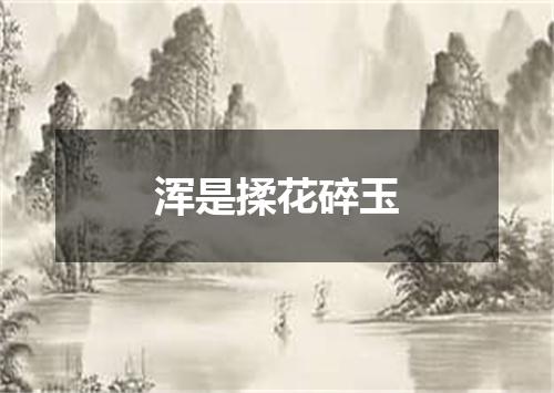 浑是揉花碎玉