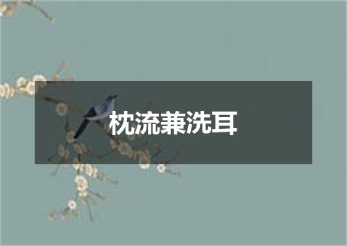 枕流兼洗耳