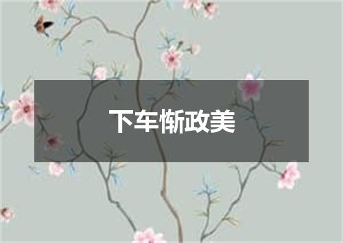 下车惭政美