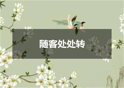 随客处处转