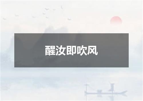 醒汝即吹风