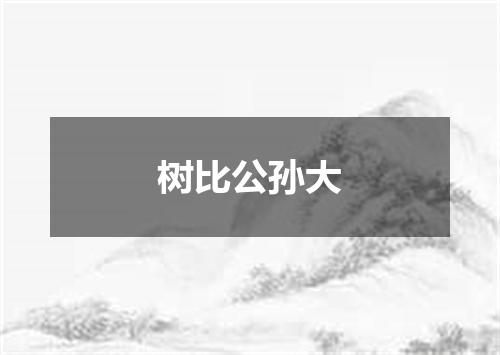 树比公孙大