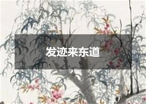 发迹来东道