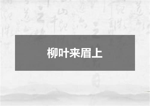 柳叶来眉上